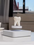 Левитирующий сувенир с подсветкой "Зуб" 8 х 4 см